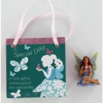 Fairy Magic Bag - Special Day (6 Pcs) FMG011